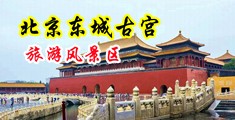 操出来逼中国北京-东城古宫旅游风景区